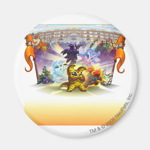 Imã Taça Altador 2010