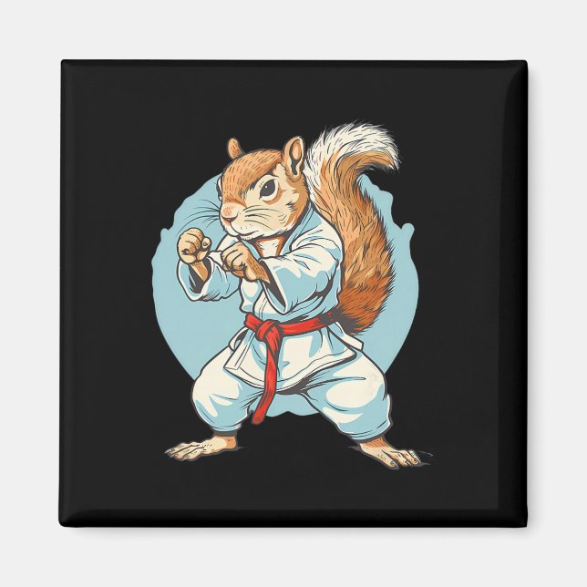 Imã Tae Kwon Do Esquilo Kung Fu Kickboxing Karate Mart (Frente)