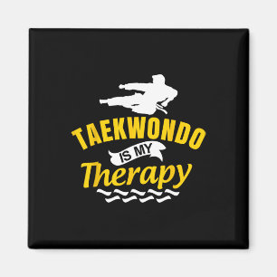 Imã Taekwondo É Terapia Kickboxing Artes Marciais Cara