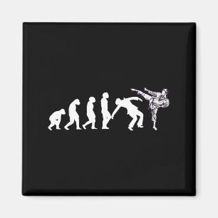 Imã Taekwondo Karate Aikido Ju Jutsu Kung Fu Evolução