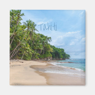 Imã Tahiti Sand Beach Blue Sky Palm Trees