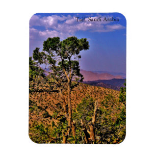 Ímã Taif, Arábia Saudita