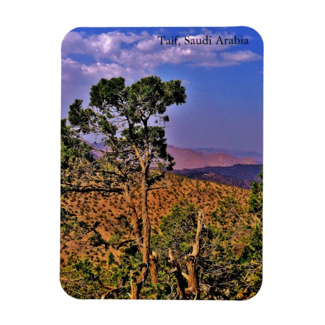 Ímã Taif, Arábia Saudita (Vertical)