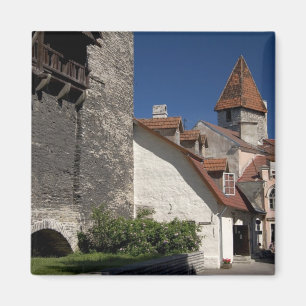Imã Tallin, Estônia. Tallin é um tanto
