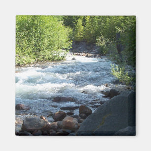 Imã Tampões brancos