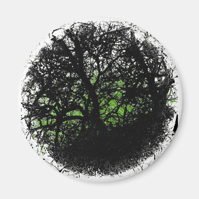 Imã Tanglewood (Frente)