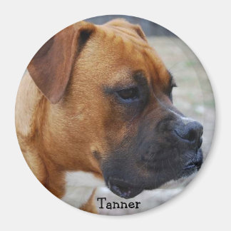 Imã Tanner
