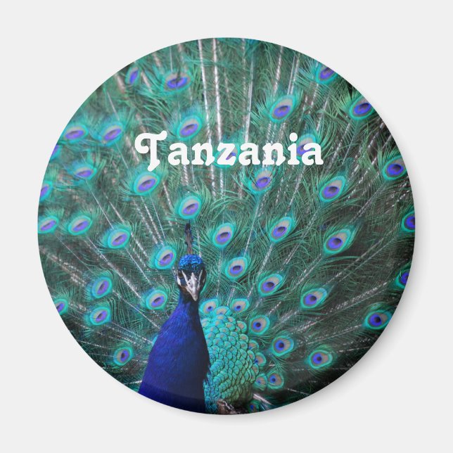 Imã Tanzânia Peacock (Frente)