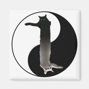 Imã Tao de Longcat