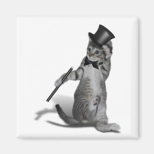 Imã Tap Dancing Cat