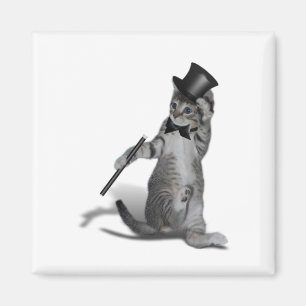 Imã Tap Dancing Kitten