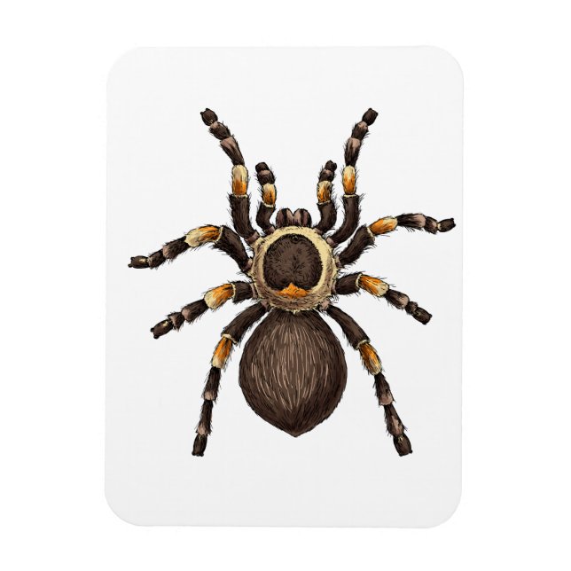 Ímã Tarantula (Vertical)