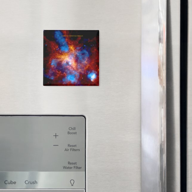 Imã Tarantula Nebula (In Situ (Fridge))