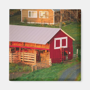 Imã Tarefas matinais na fazenda. EUA, Vermont,
