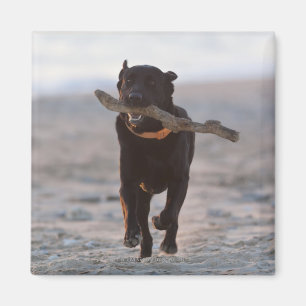 Imã tarifa, cadiz, espanha