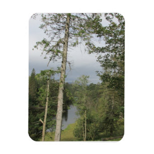 Ímã Tarn Hows Trees Flexible Photo Magnet