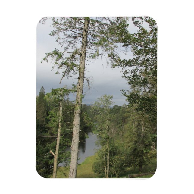 Ímã Tarn Hows Trees Flexible Photo Magnet (Vertical)