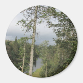 Imã Tarn Hows Trees Magnet