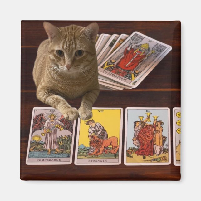 Imã Tarot Cat (Frente)