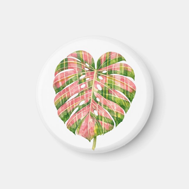 Imã Tartan Rosa Escocês Monstera Aquarela Botânico (Frente)