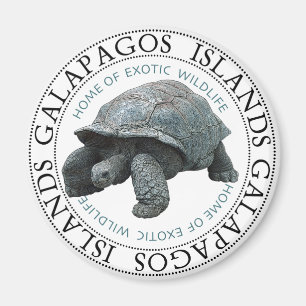 Imã Tartaruga das Ilhas Galápagos