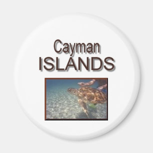 Imã Tartaruga de Cayman Islands