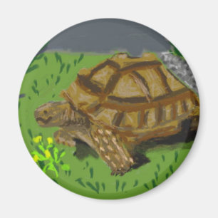 Imã Tartaruga de Sulcata