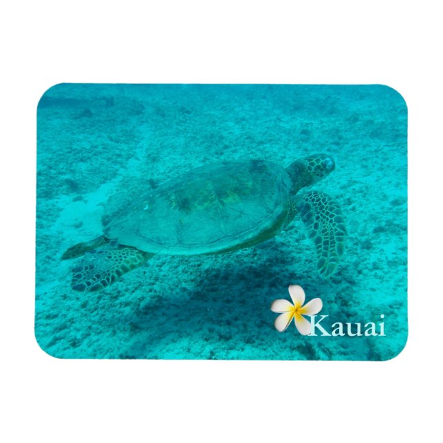 Ímã Tartaruga do Mar Verde Havaiana (Horizontal)