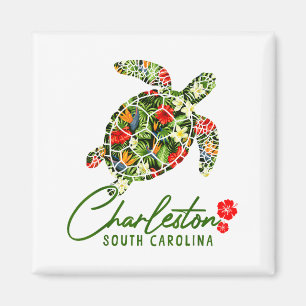 Imã Tartaruga Marinha Charleston Carolina do Sul Hibis