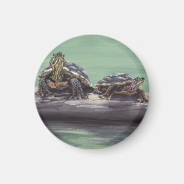 Imã Tartaruga pintada