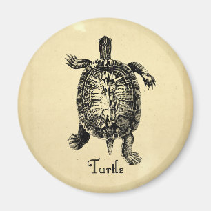IMÃ TARTARUGA VINTAGE