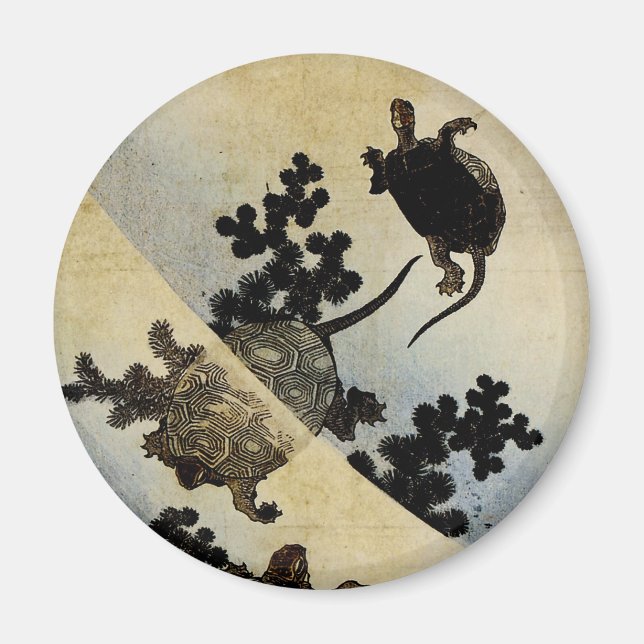 Imã Tartarugas de Nado (Frente)