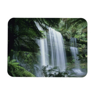 Ímã Tasmânia, Parque Nacional Mt. Field, Russell Falls