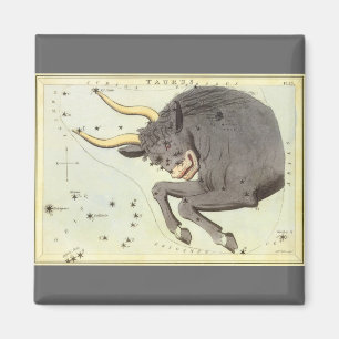 Imã Taurus Bull, Espelho da Constelação de Vintage Ura