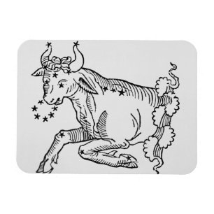 Ímã Taurus (Bull) uma ilustração 'do poético