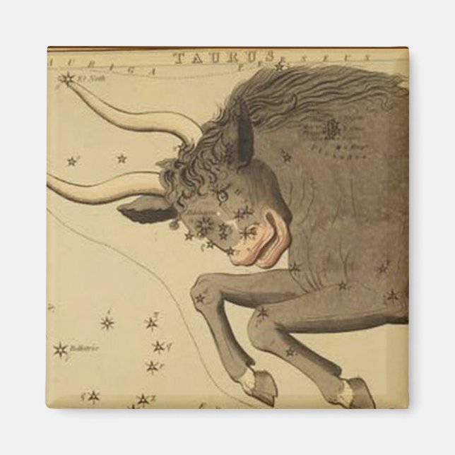 Imã Taurus Magnet (Frente)