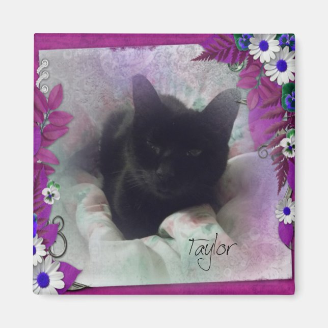 Imã Taylor Refrigerator Magnet (Frente)