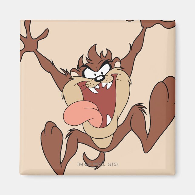 Imã TAZ™ a saltar (Frente)