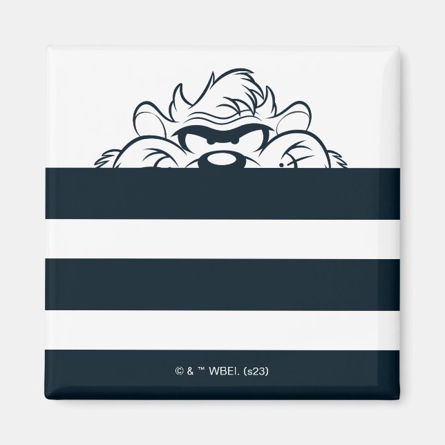 Imã TAZ™ Ocultando em faixas (Frente)