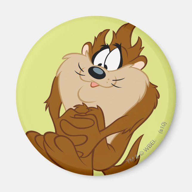 Imã TAZ™ posicionando 4 (Frente)