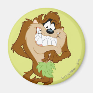 Imã TAZ™ segurando uma folha