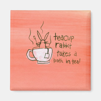 Imã Teacup Rabbit leva um banho. Em Tea!