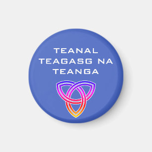 Imã Teagasg na Teanga Magnet