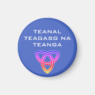 Imã Teagasg na Teanga Magnet
