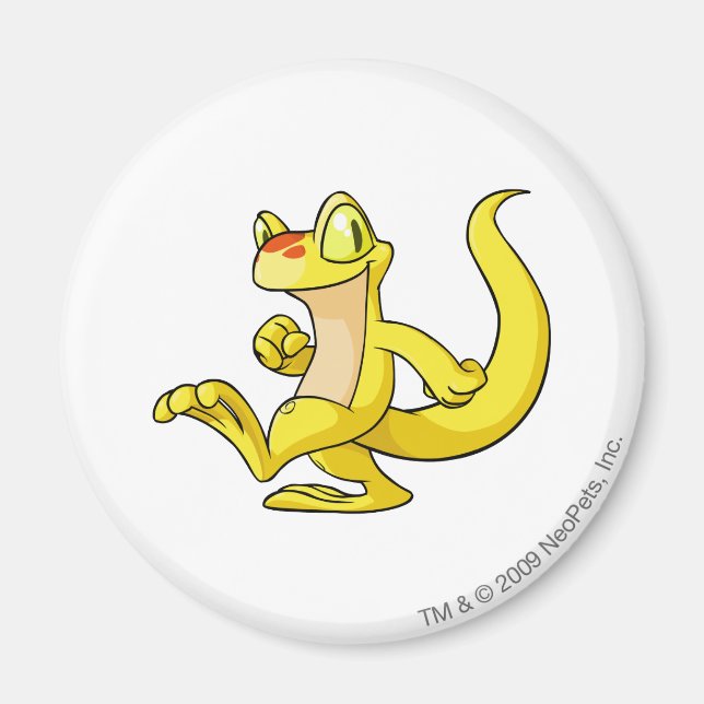 Imã Techo Amarelo (Frente)