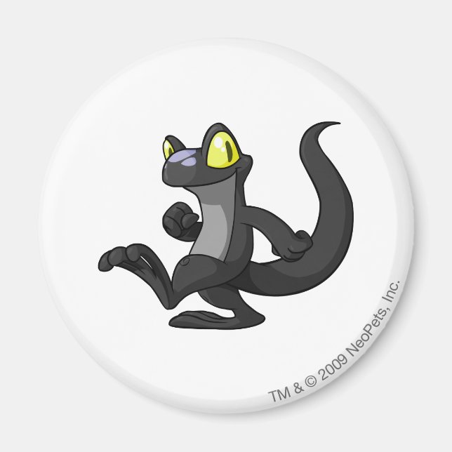 Imã Techo Shadow (Frente)