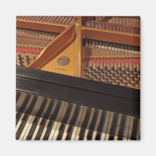 Imã Teclado de piano e ímã dos pinos