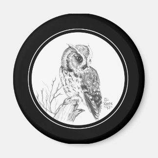 Imã Tela de Coruja de Lixo no lápis