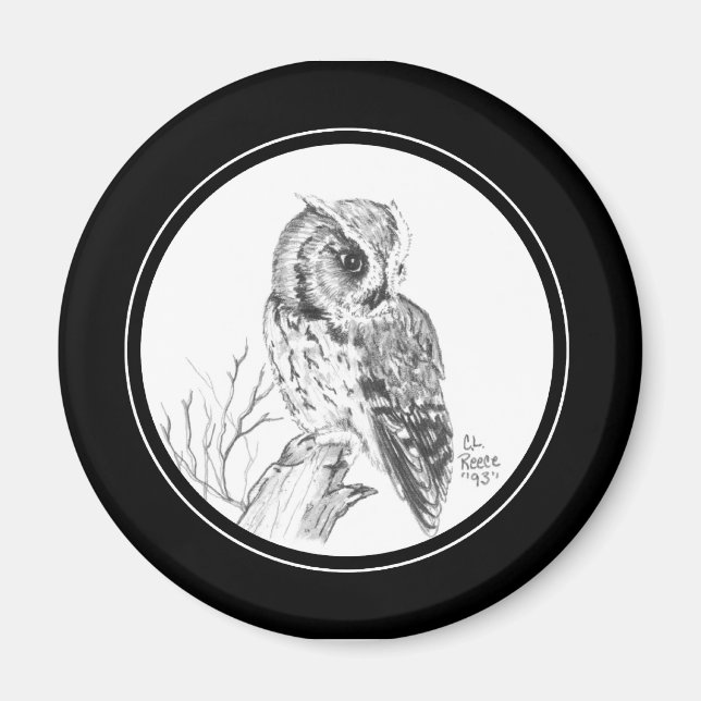 Imã Tela de Coruja de Lixo no lápis (Frente)