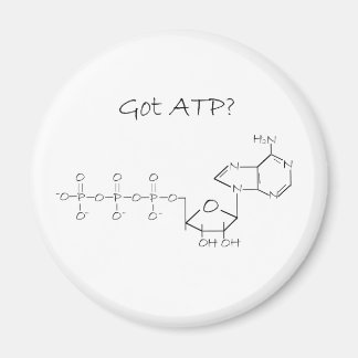 Imã Tem ATP?
